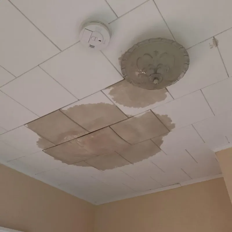 Ceiling Water Damage Repair in Marine Corps Base Hawaii - MCBH, HI